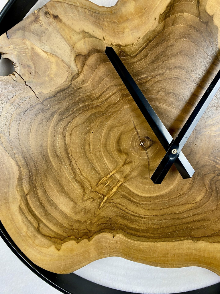 IMG_6801.webp